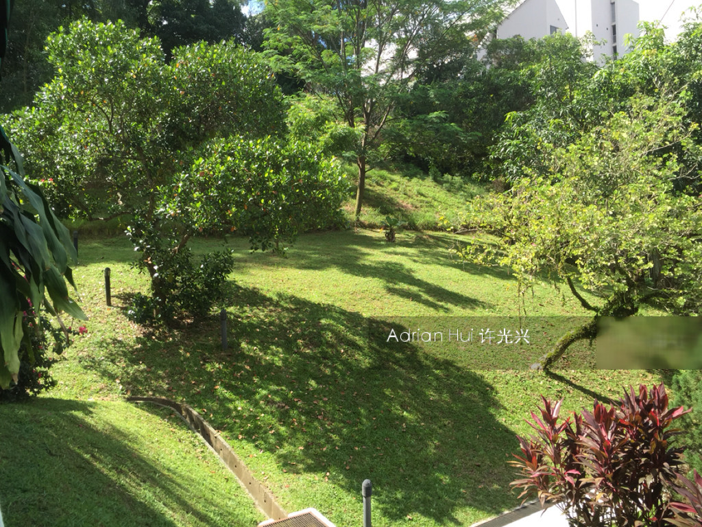 Flynn Park (D5), Condominium #152181332